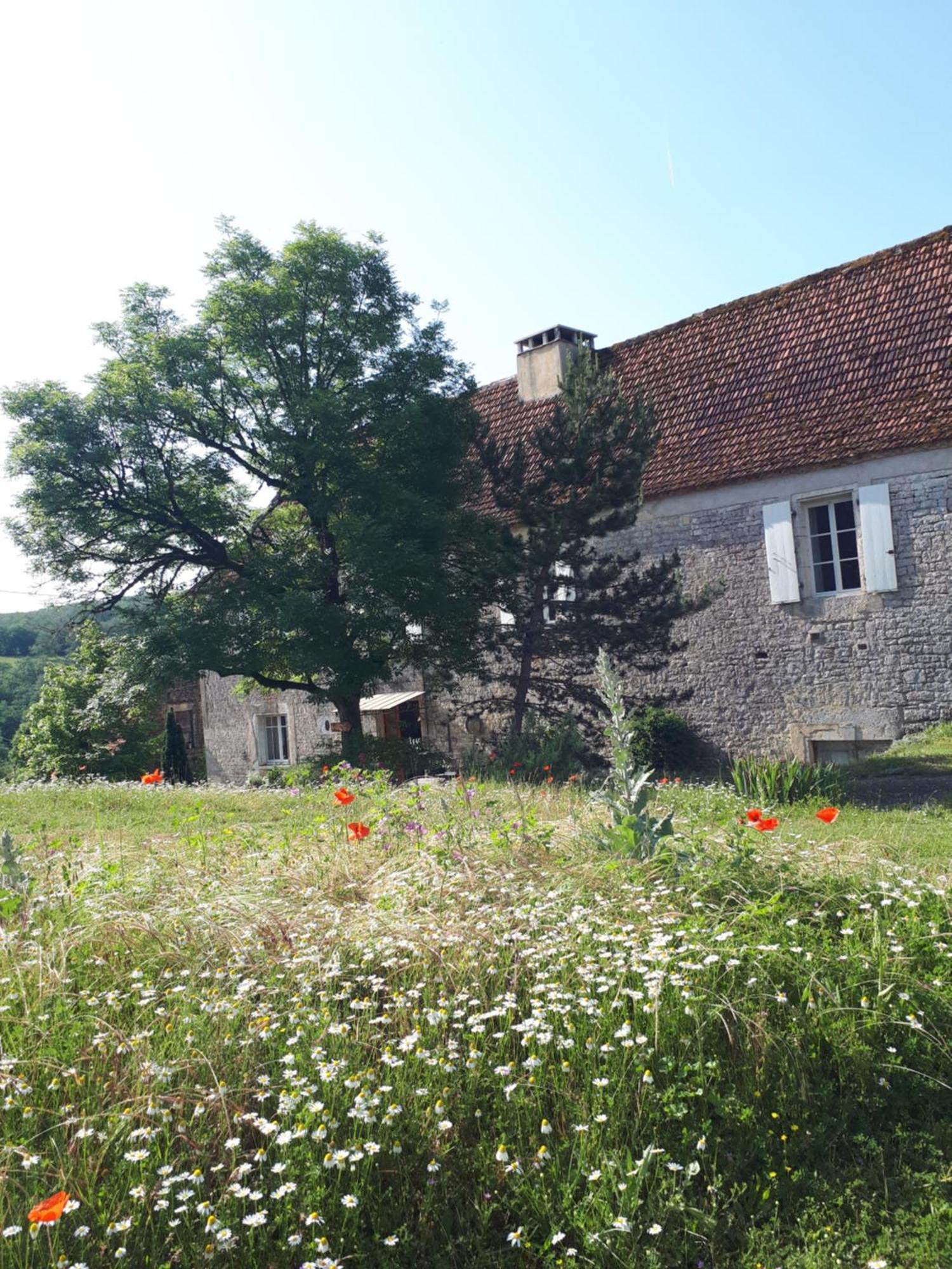 Hotel La Ferme De Roquedure à Montfaucon  Extérieur photo